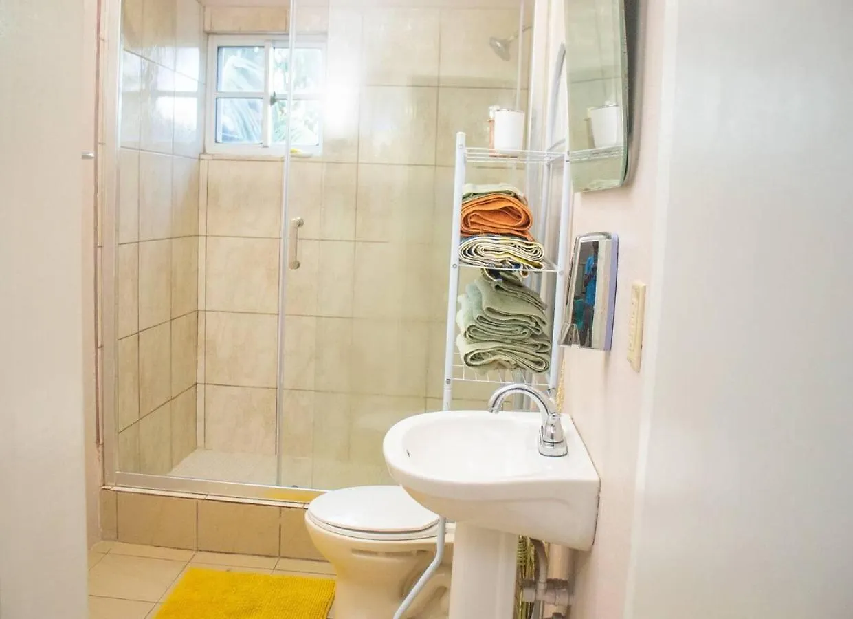 St. John's Lovely 2 Bedroom Apt 4 Warm Cosy Comfortable 0*, St. John's